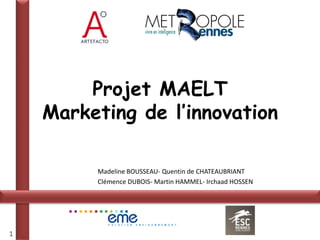 Projet MAELT
    Marketing de l’innovation

         Madeline BOUSSEAU- Quentin de CHATEAUBRIANT
         Clémence DUBOIS- Martin HAMMEL- Irchaad HOSSEN




1
 
