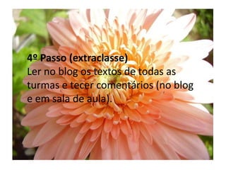 4º Passo (extraclasse)Ler no blog os textos de todas as turmas e tecer comentários (no blog e em sala de aula).