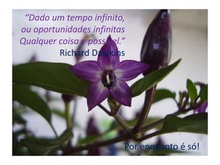 “Dado um tempo infinito, ou oportunidades infinitasQualquer coisa é possível.”Richard DawkinsPor enquanto é só!