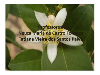 Professores:Neuza Maria de Castro FonsecaTatiana Vieira dos Santos Paiva