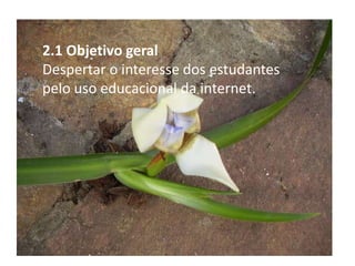 2.1 Objetivo geralDespertar o interesse dos estudantes pelo uso educacional da internet. 