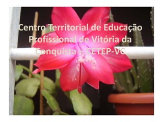Centro Territorial de Educação Profissional de Vitória da Conquista – CETEP-VC 