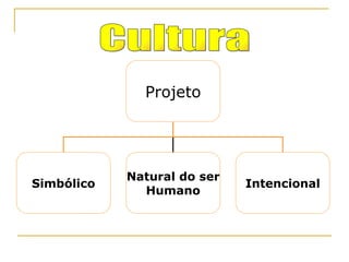 Cultura Projeto Simbólico Natural do ser  Humano Intencional 
