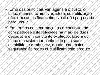 Uma das principais vantagens é o custo, o Linux é um software livre, isto é, sua utilização não tem custos financeiros você não paga nada para usá-lo.  Em termos de segurança, a compatibilidade com padrões estabelecidos há mais de duas décadas e em constante evolução, fazem do Linux um sistema reconhecido pela sua estabilidade e robustez, dando uma maior segurança às redes que utilizam este produto.  