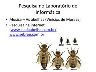 Pesquisa no Laboratório de
              informática
• Música – As abelhas (Vinícios de Moraes)
• Pesquisa na internet
  (www.ciadaabelha.com.br/
  www.sebrae.com.br)
 