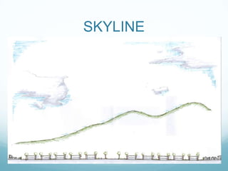 SKYLINE
 