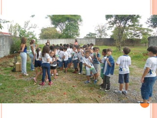 Projeto Alimentação Saudável