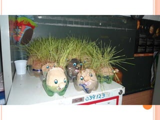 Projeto Alimentação Saudável