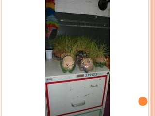 Projeto Alimentação Saudável