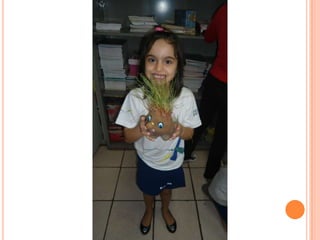 Projeto Alimentação Saudável