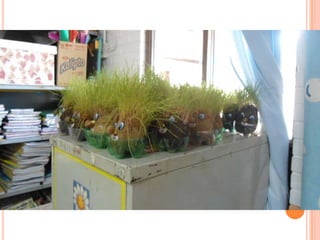 Projeto Alimentação Saudável