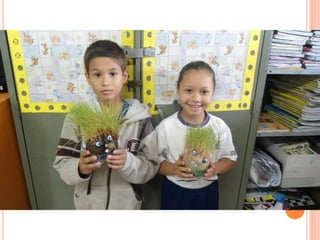 Projeto Alimentação Saudável