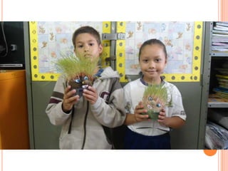 Projeto Alimentação Saudável