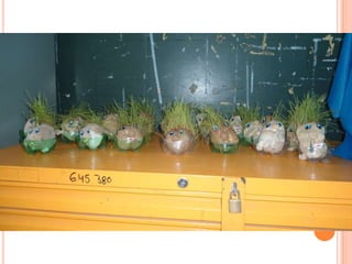 Projeto Alimentação Saudável