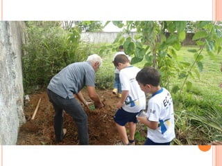 Projeto Alimentação Saudável