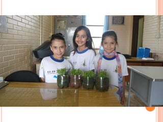 Projeto Alimentação Saudável