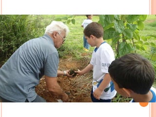 Projeto Alimentação Saudável