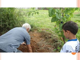 Projeto Alimentação Saudável
