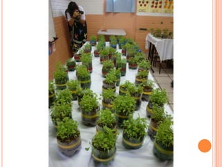 Projeto Alimentação Saudável