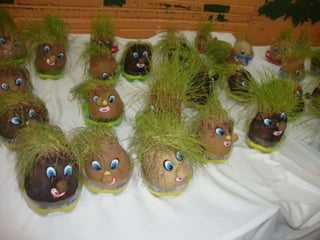 Projeto Alimentação Saudável