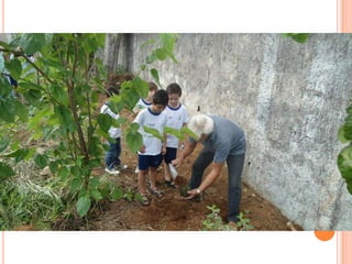 Projeto Alimentação Saudável