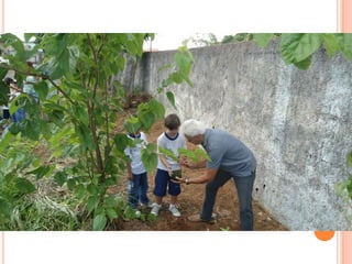 Projeto Alimentação Saudável