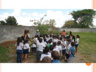 Projeto Alimentação Saudável