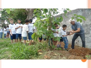 Projeto Alimentação Saudável