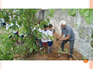 Projeto Alimentação Saudável