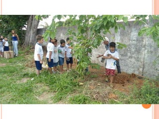 Projeto Alimentação Saudável