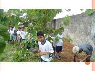 Projeto Alimentação Saudável
