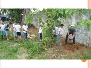 Projeto Alimentação Saudável