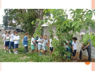 Projeto Alimentação Saudável