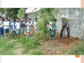 Projeto Alimentação Saudável