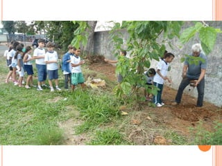 Projeto Alimentação Saudável