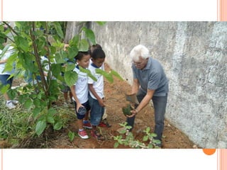 Projeto Alimentação Saudável