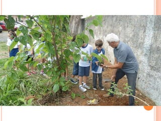 Projeto Alimentação Saudável