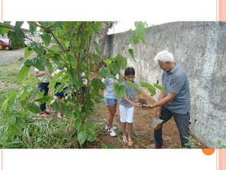 Projeto Alimentação Saudável