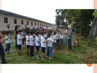 Projeto Alimentação Saudável