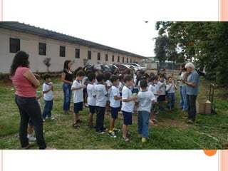 Projeto Alimentação Saudável
