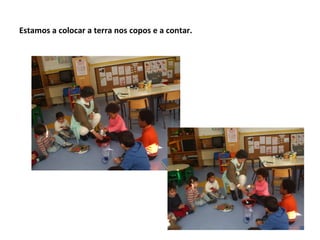 Estamos a colocar a terra nos copos e a contar.
 