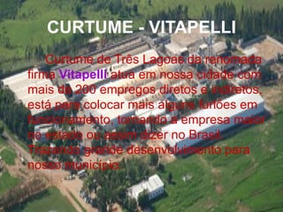 CURTUME - VITAPELLI Curtume de Três Lagoas da renomada firma  Vitapelli  atua em nossa cidade com mais de 200 empregos diretos e indiretos, está para colocar mais alguns furlões em funcionamento, tornando a empresa maior no estado ou assim dizer no Brasil. Trazendo grande desenvolvimento para nosso município. 