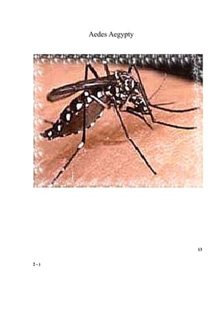 Projeto Fora Dengue