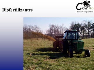 Biofertilizantes
 