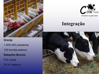 Integração
Granja
1.500.000 poedeiras
120 ton/dia esterco
Rebanho Bovino
510 vacas
74 m3 esterco
 