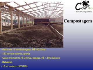 Compostagem
- Gasto de 13 ton/dia bagaço, R$100,00/ton
- 120 ton/dia esterco, granja
- Gasto mensal de R$ 39.000, bagaço, R$ 1.500.000/ano
- Rebanho
- 10 m3 esterco (35%MS)
 