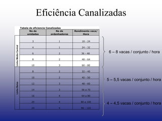 Eficiência Canalizadas
Tabela de eficiencia Canalizadas
No de No de Rendimento vaca/
unidades ordenhadores Hora
18 - 24
32 - 40
48 - 64
60 - 80
1 24 - 32
36 - 48
48 - 60
40 - 50
Linha
Baixa
8 2
12 3
14 3
10 2
56 a 70
96 - 120
16 4 64 a 80
20 4 80 a 100
24 4
Linha
Média
Central
8
10
2
3
6 2
3 1
4
6 – 8 vacas / conjunto / hora
5 – 5,5 vacas / conjunto / hora
4 – 4,5 vacas / conjunto / hora
 