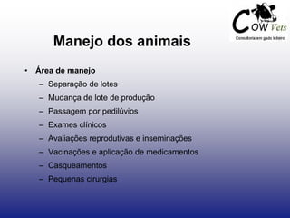 Manejo dos animais
• Área de manejo
– Separação de lotes
– Mudança de lote de produção
– Passagem por pedilúvios
– Exames clínicos
– Avaliações reprodutivas e inseminações
– Vacinações e aplicação de medicamentos
– Casqueamentos
– Pequenas cirurgias
 