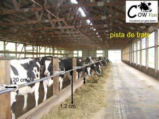 pista de trato
1,2 cm
20 cm 30 cm
 