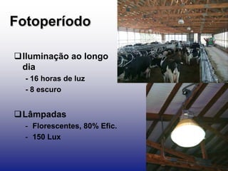 Fotoperíodo
Iluminação ao longo
dia
- 16 horas de luz
- 8 escuro
Lâmpadas
- Florescentes, 80% Efic.
- 150 Lux
 